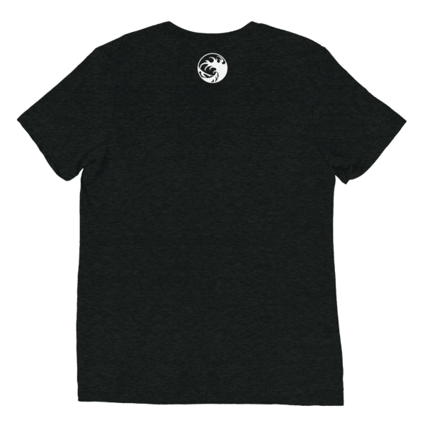 Unisex Tri Blend T Shirt Charcoal Black Triblend Back 66070B3563Fff