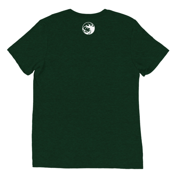 Unisex Tri Blend T Shirt Emerald Triblend Back 66070B356A11B
