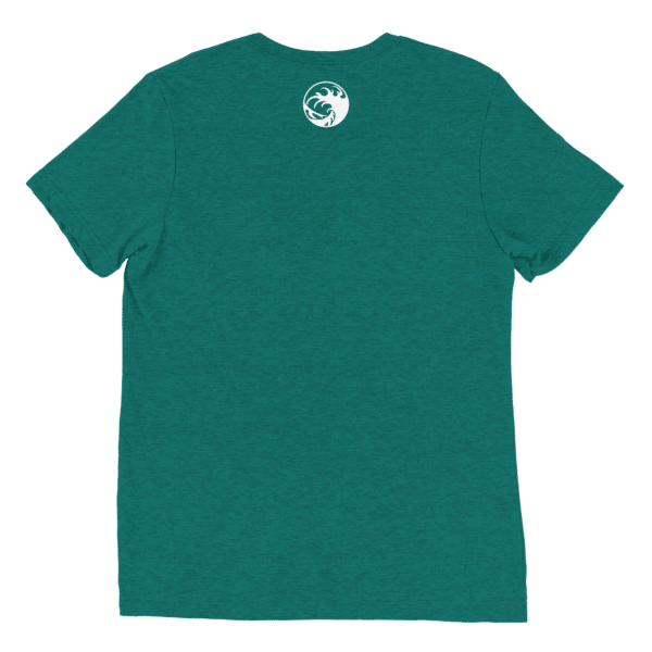 Unisex Tri Blend T Shirt Teal Triblend Back 66070B35875Dc